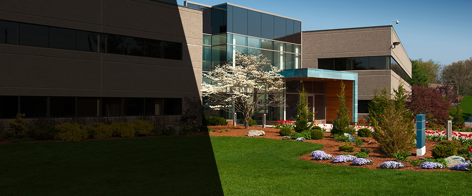 Stockton Landscapers