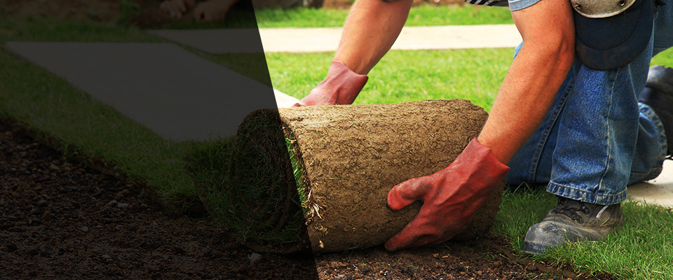 Stockton Landscapers